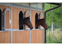 finestra ad arco tipo D